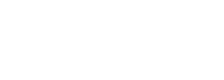 NIX Foundation Logo